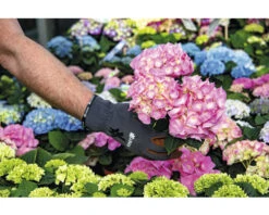 KINETIXX Tuinhandschoen X-Planter Grijs 2 St -TuinToolsPro DV 8 10581120 02 4c DE 20220713161759