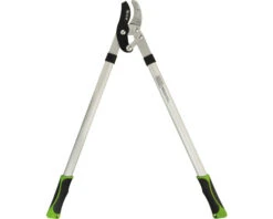 FOR_Q Takkenschaar Aambeeld