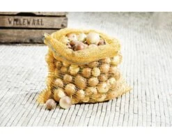 FLORASELF® Zak 50x80 Cm10 St -TuinToolsPro DV 8 6425395 01 4c DE 20180310011659 1