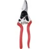 FELCO Snoeischaar Felco 16 -TuinToolsPro DV 8 6599634 01 4c NL 20181017201700