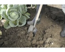 FOR_Q Spade Ronde Schacht -TuinToolsPro DV 8 7161148 04 4c DE 20201126111752